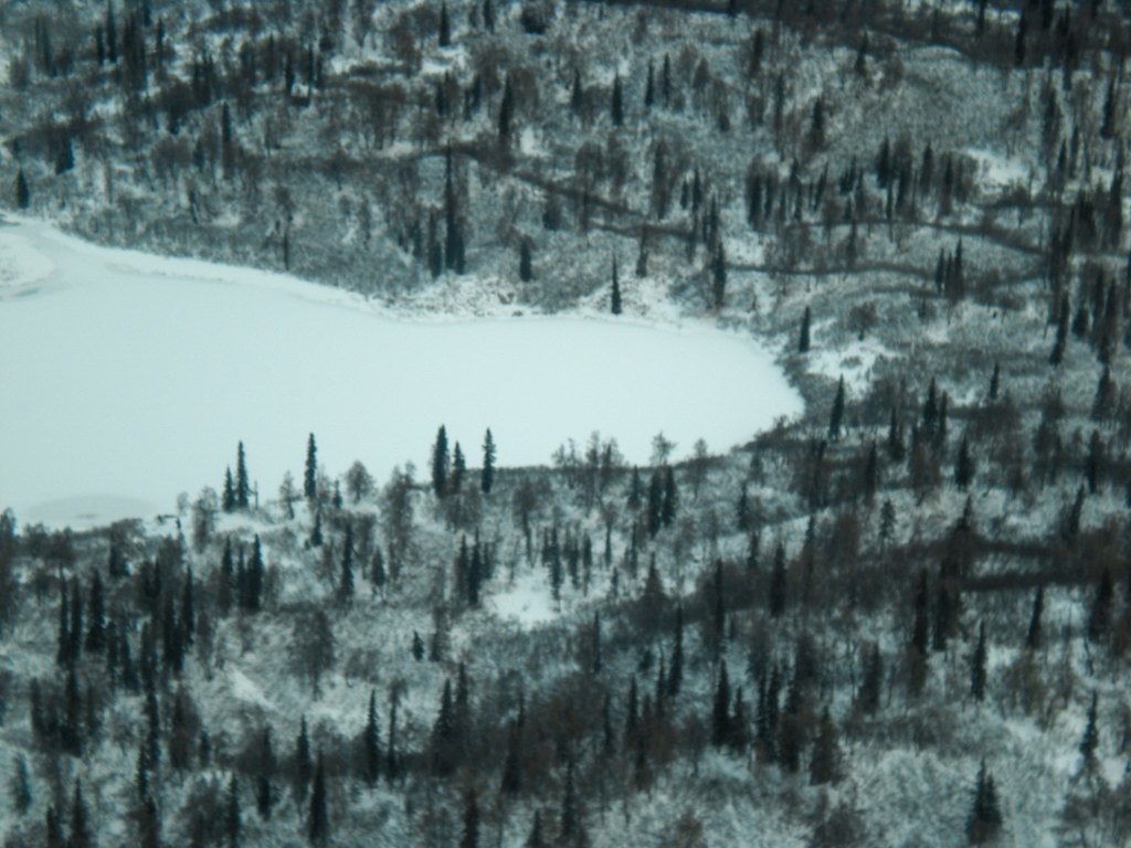Picture 12