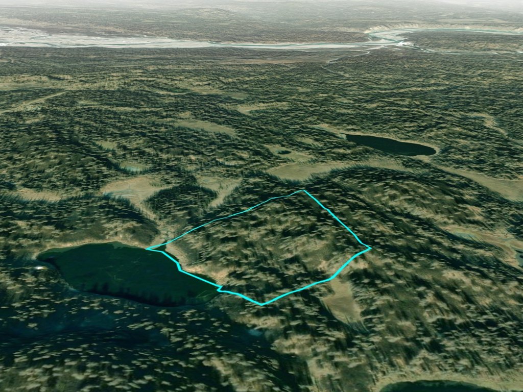 Picture 5
