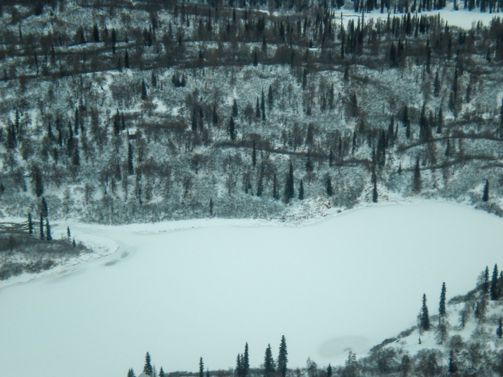 Picture 9