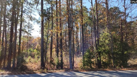 Residential Lot Near Lake Murray