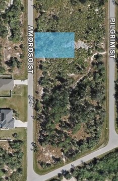 Buildable Residential Lot