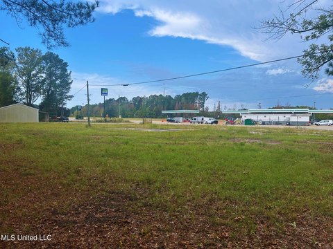 Prime Land in Lauderdale, MS