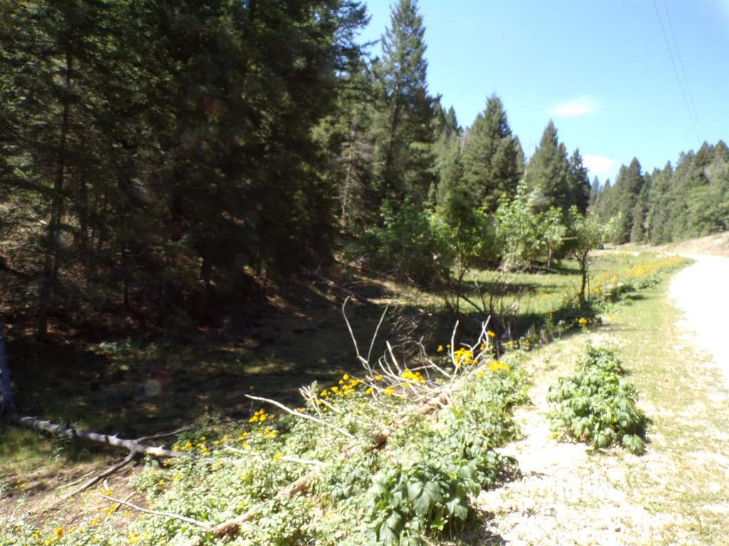 Picture 9