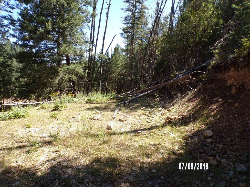 Picture 12