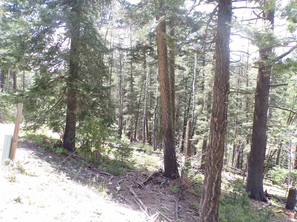 Picture 17