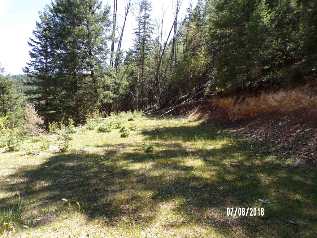 Picture 11