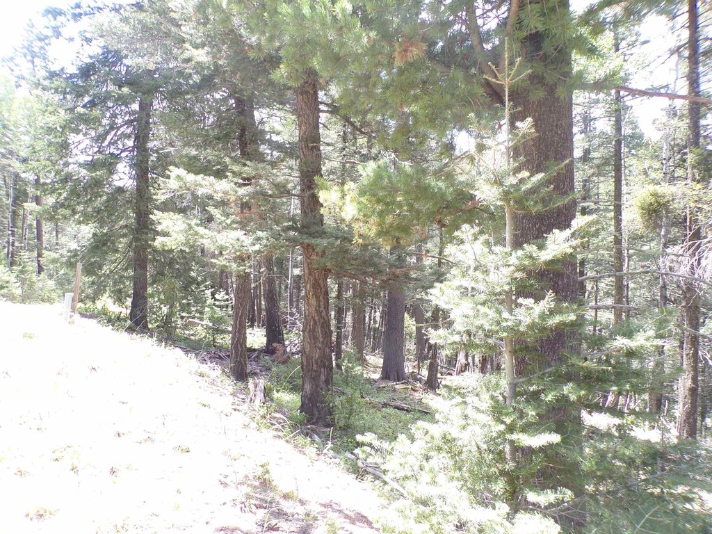 Picture 16