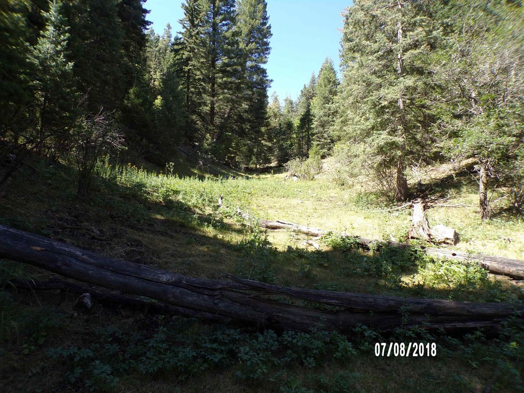 Picture 6