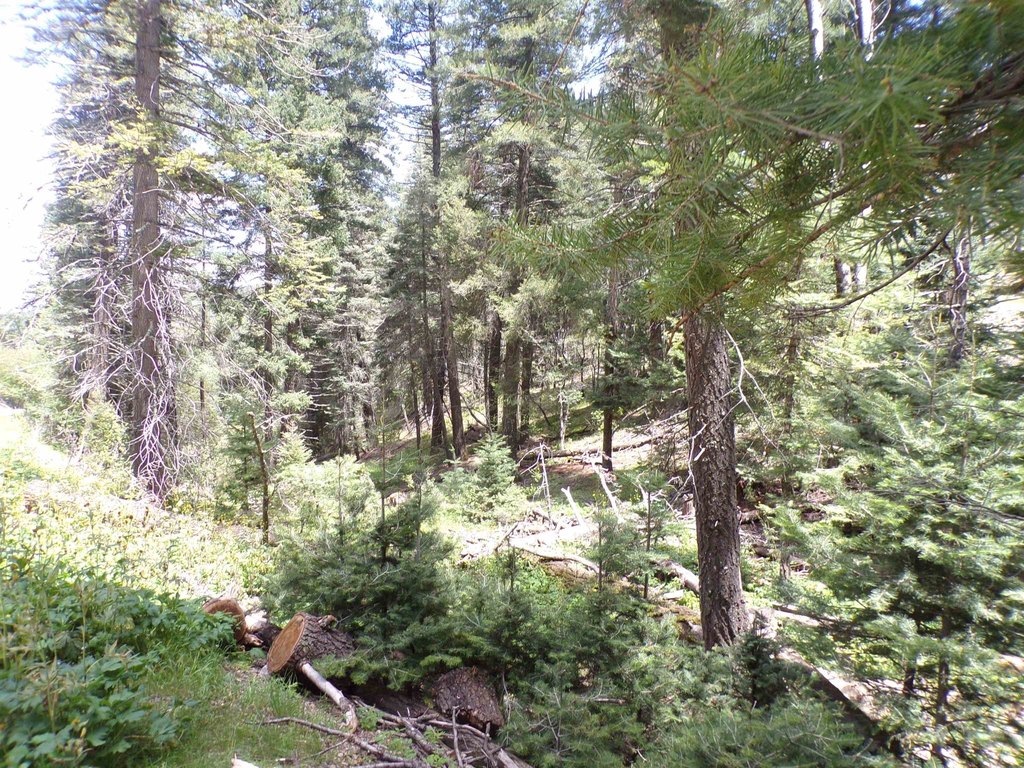 Picture 18