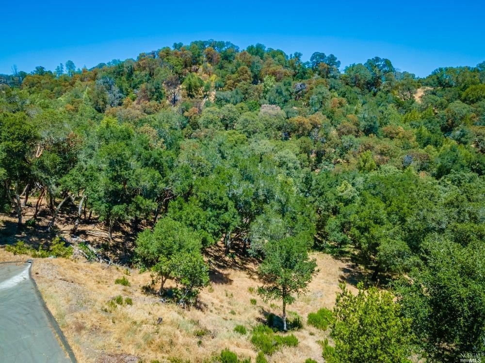 Picture 26
