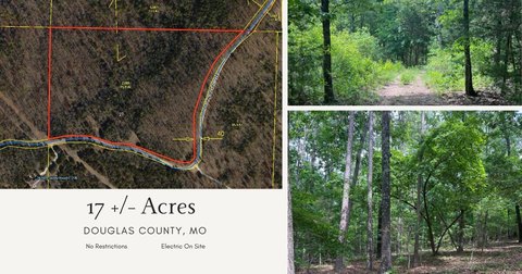 Land, Norwood, MO