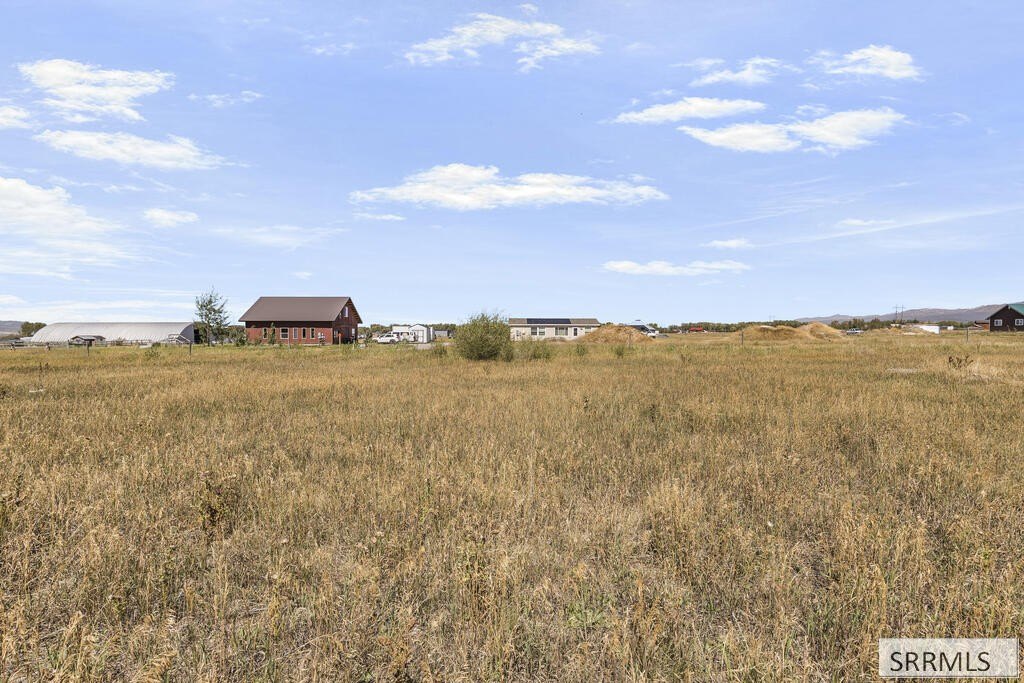Picture 16