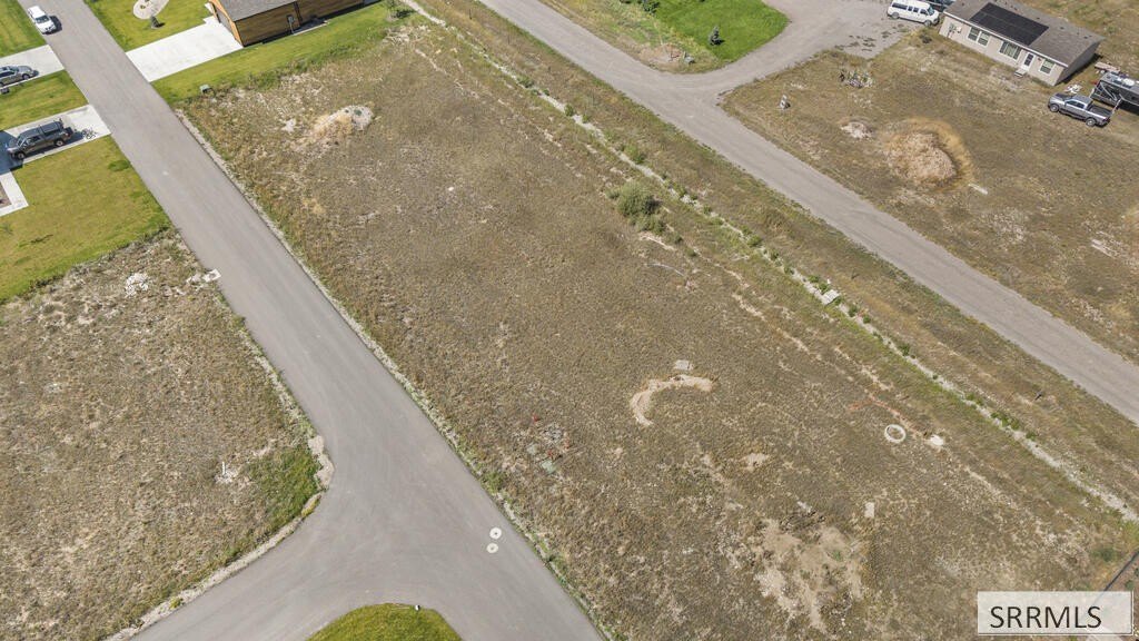 Picture 2