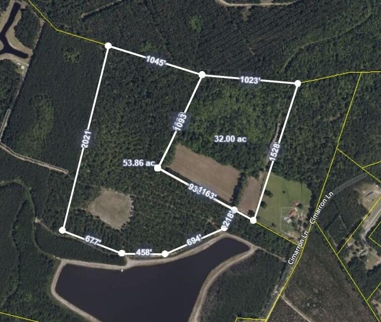 Secluded Land in Walterboro, SC