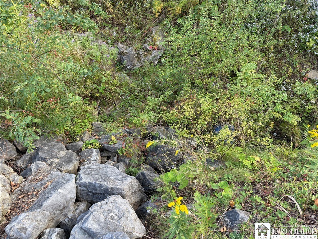 Picture 11