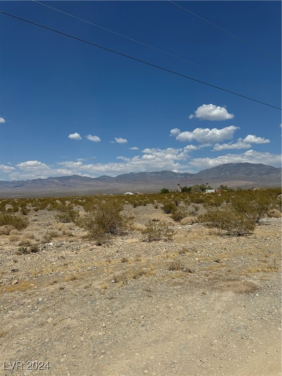 Picture 3