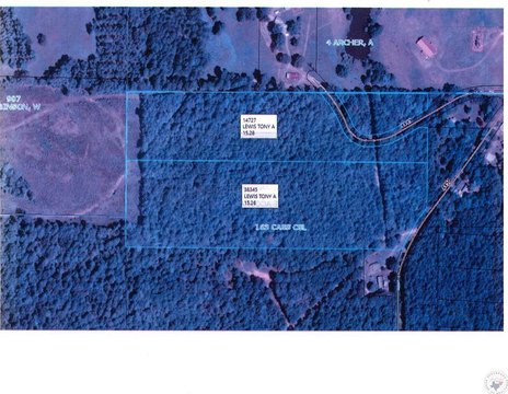 McLeod, TX Timber Land