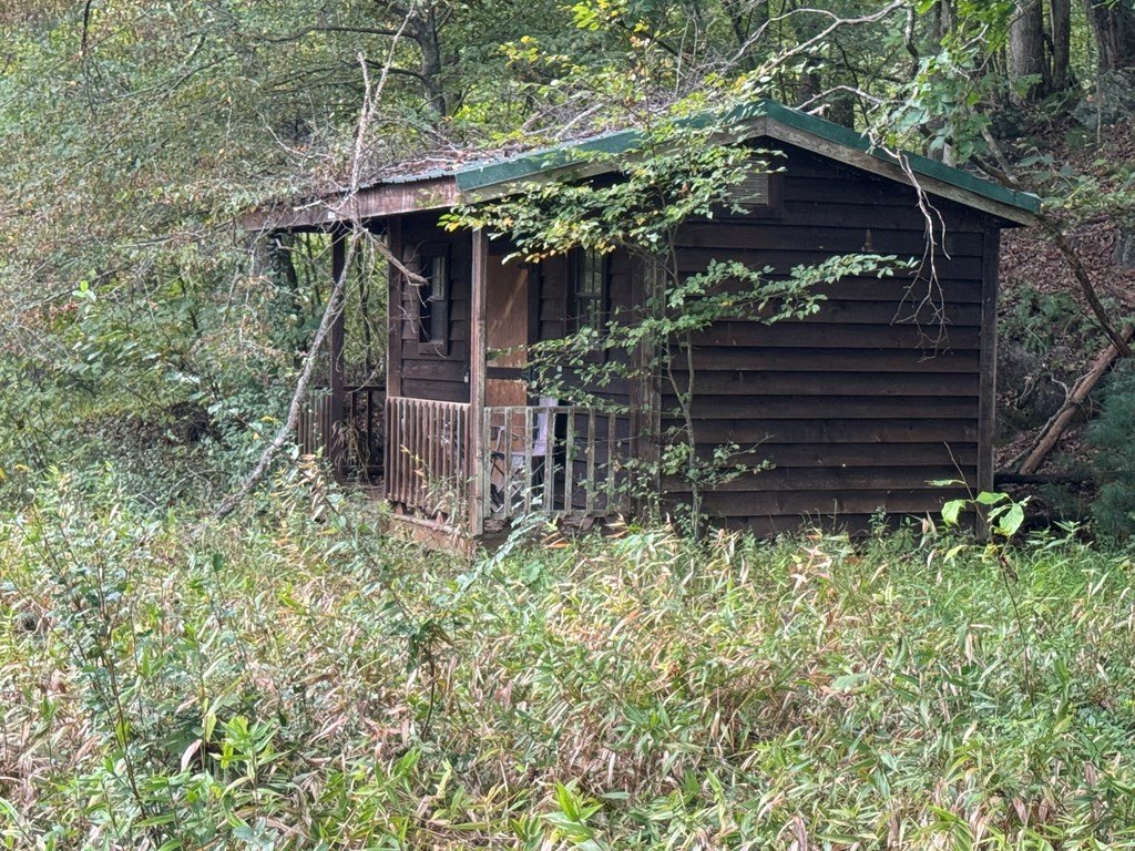 Picture 8