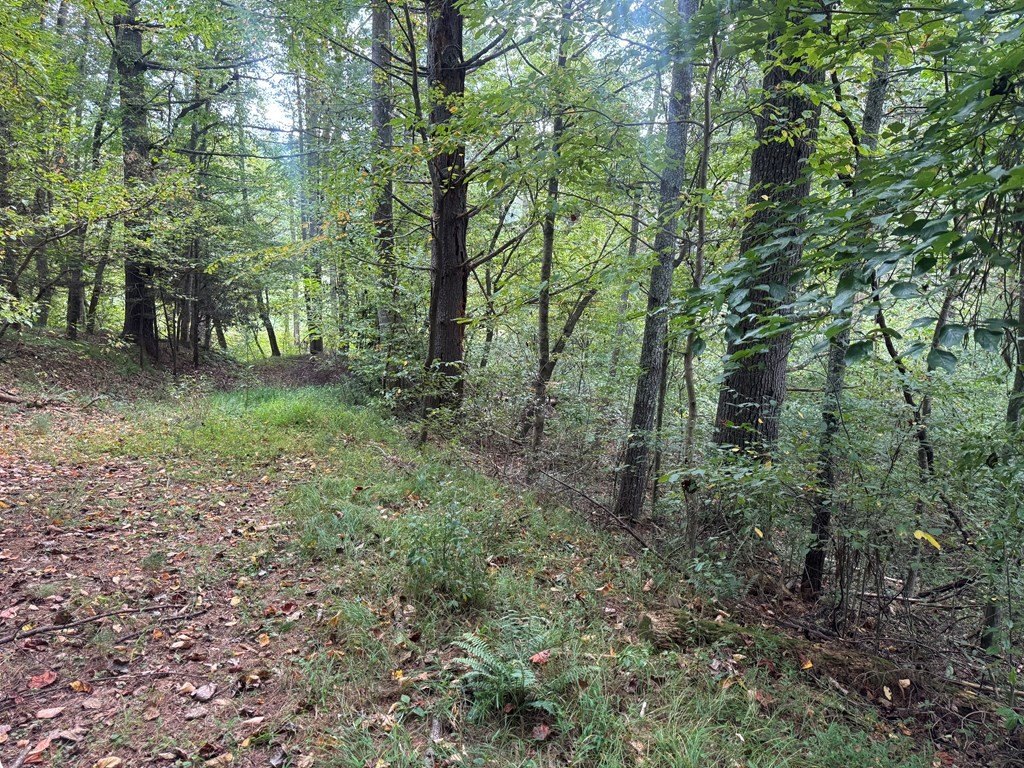 Picture 18