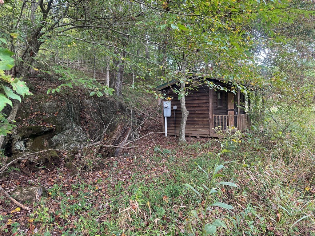 Picture 6