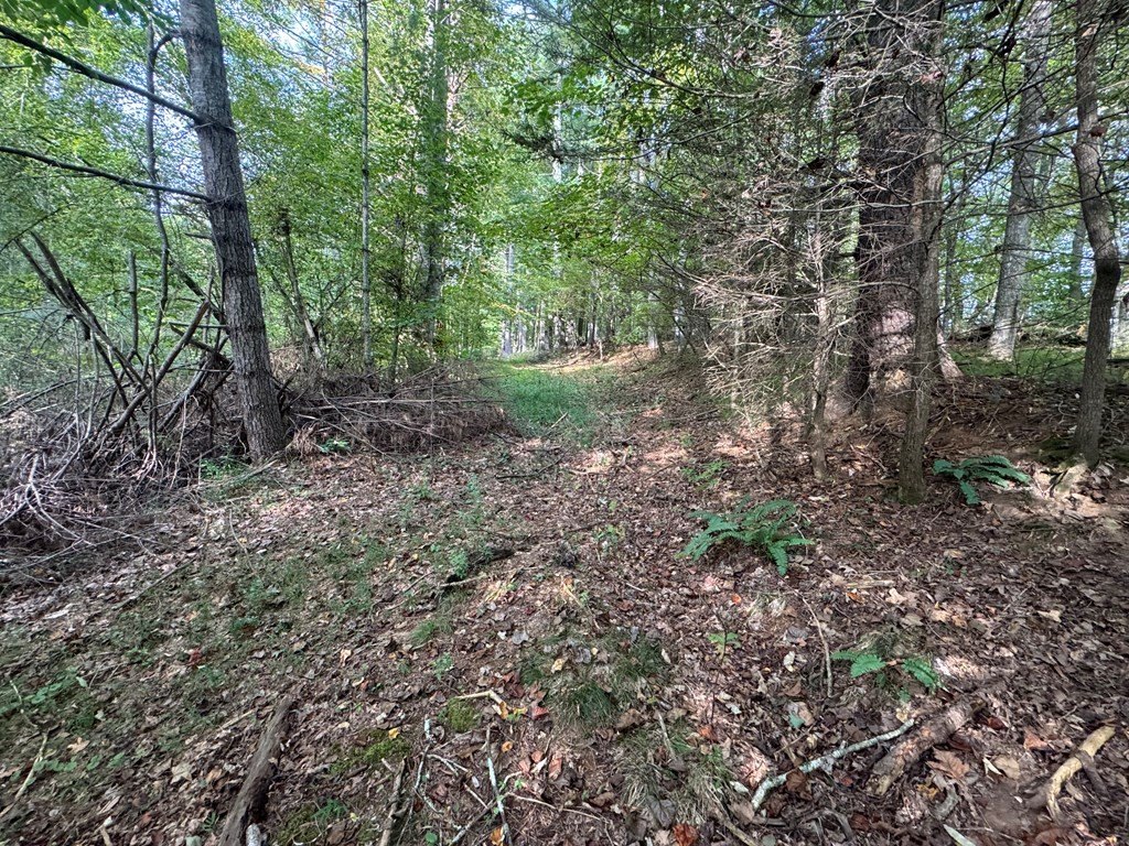 Picture 21