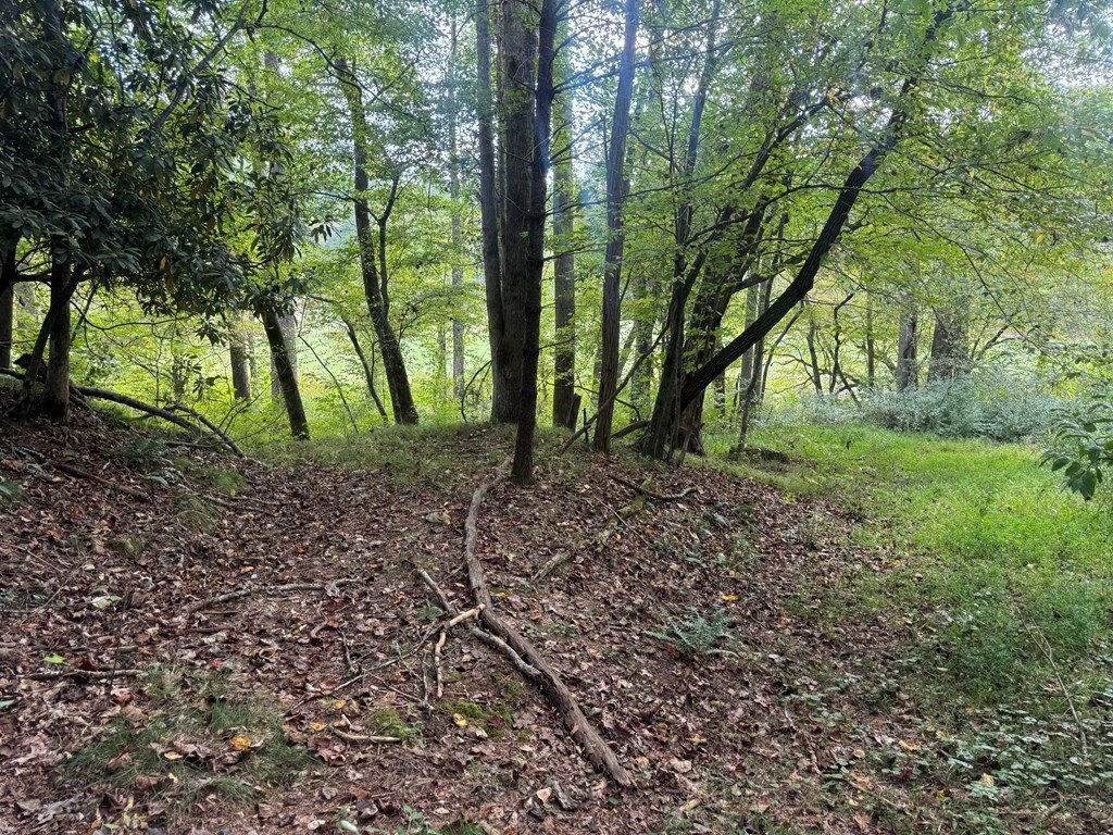 Picture 16
