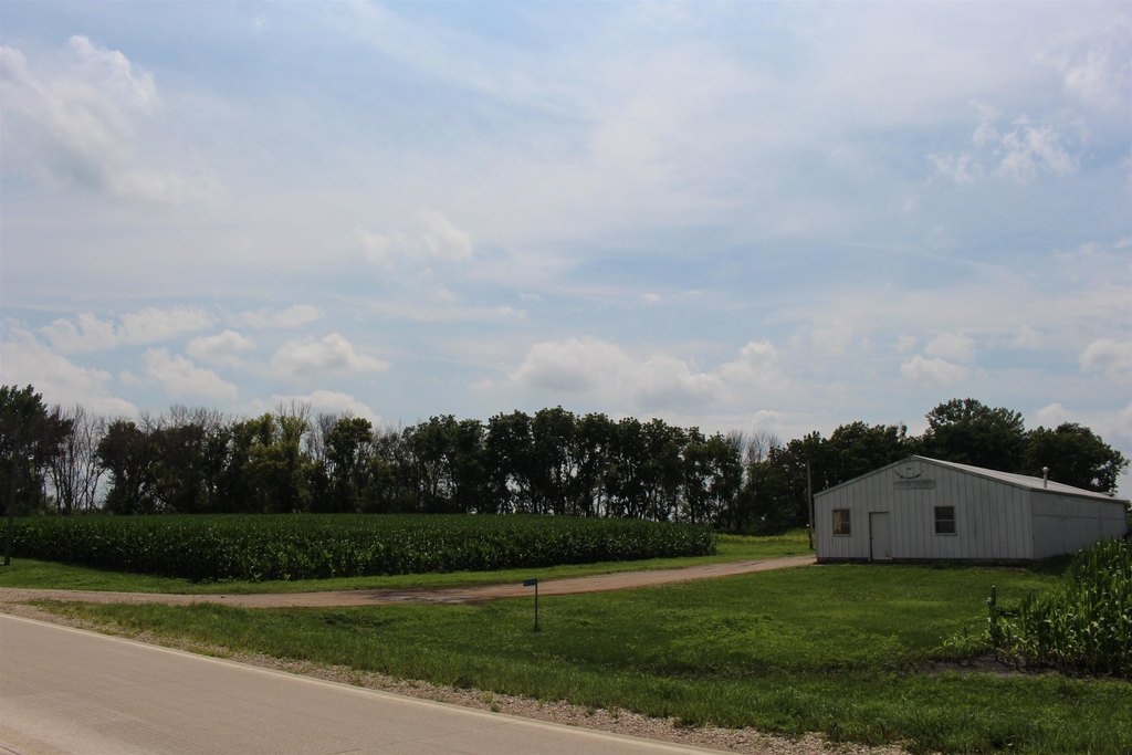Picture 7