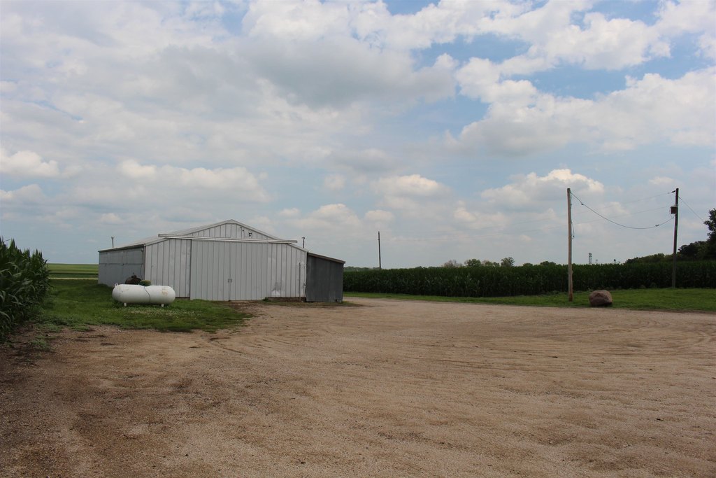 Picture 5