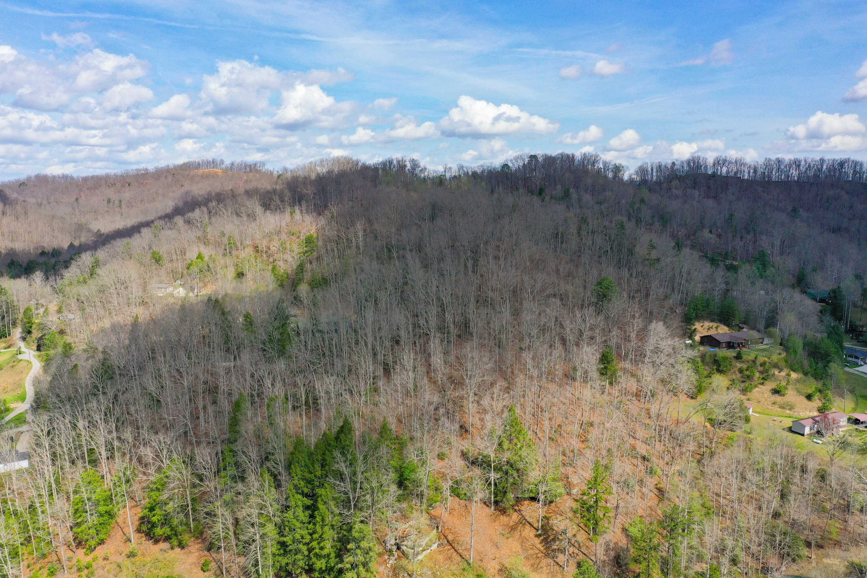 Leslie County Land for Sale