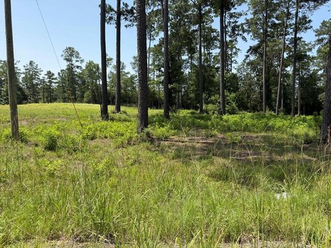 LAND - Brookeland, TX