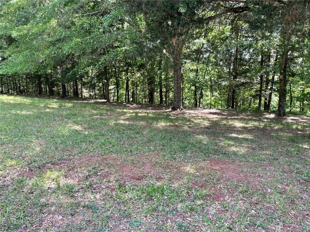 Picture 13