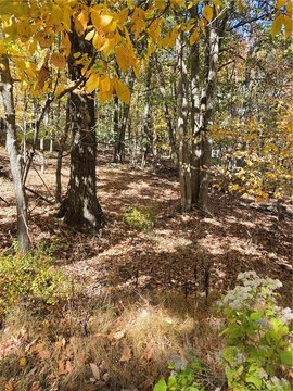 Land, Mount Pocono Boro, PA