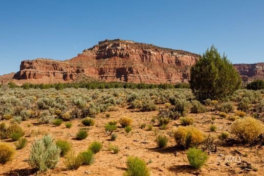 Picture 36