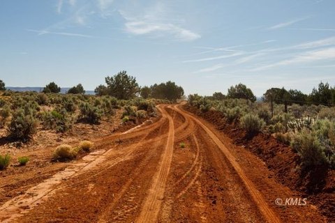 Agricultural Horse Property Land