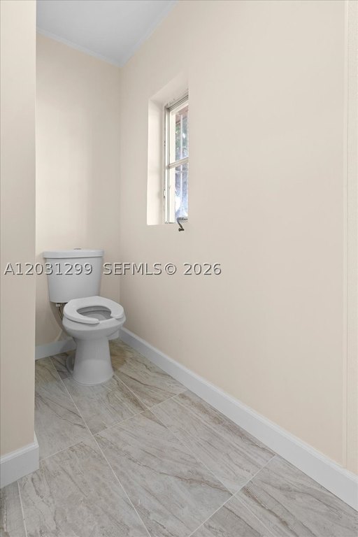 Picture 23