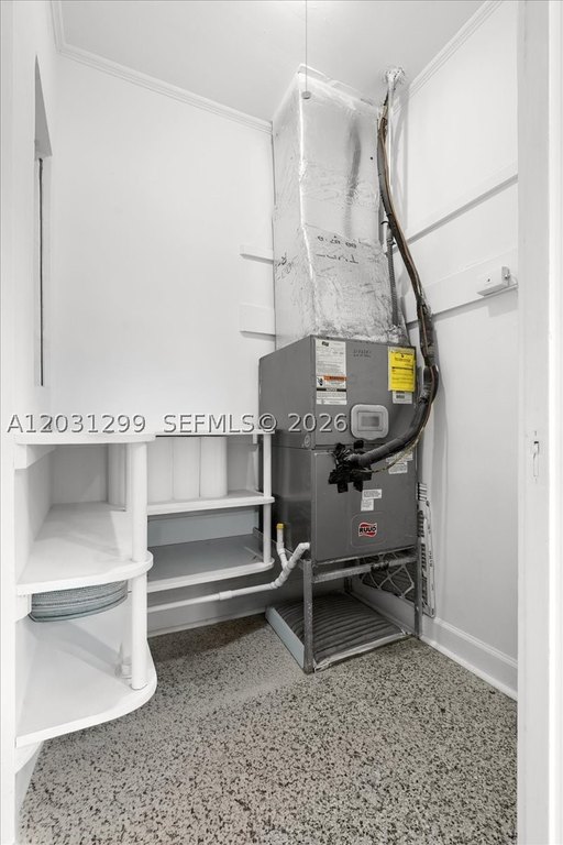 Picture 28