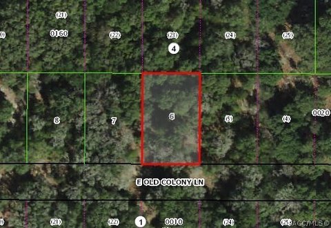 LAND - Inverness, FL
