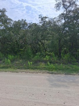 Land, WEEKI WACHEE, FL