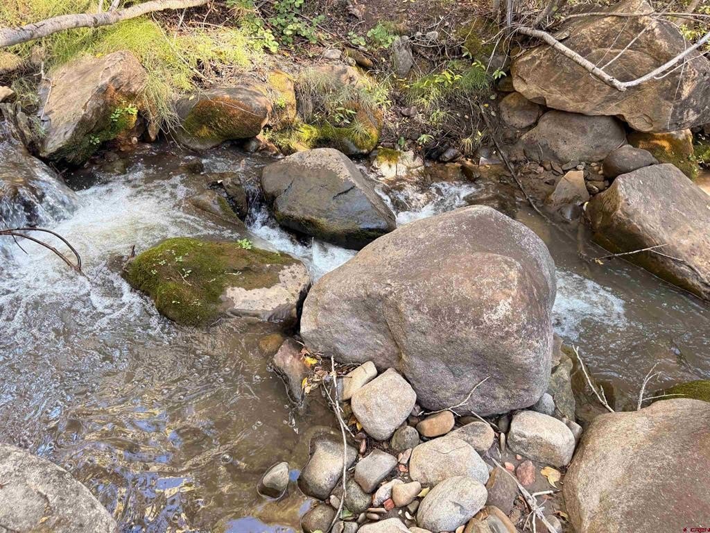 Picture 24