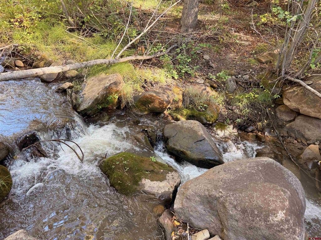 Picture 23