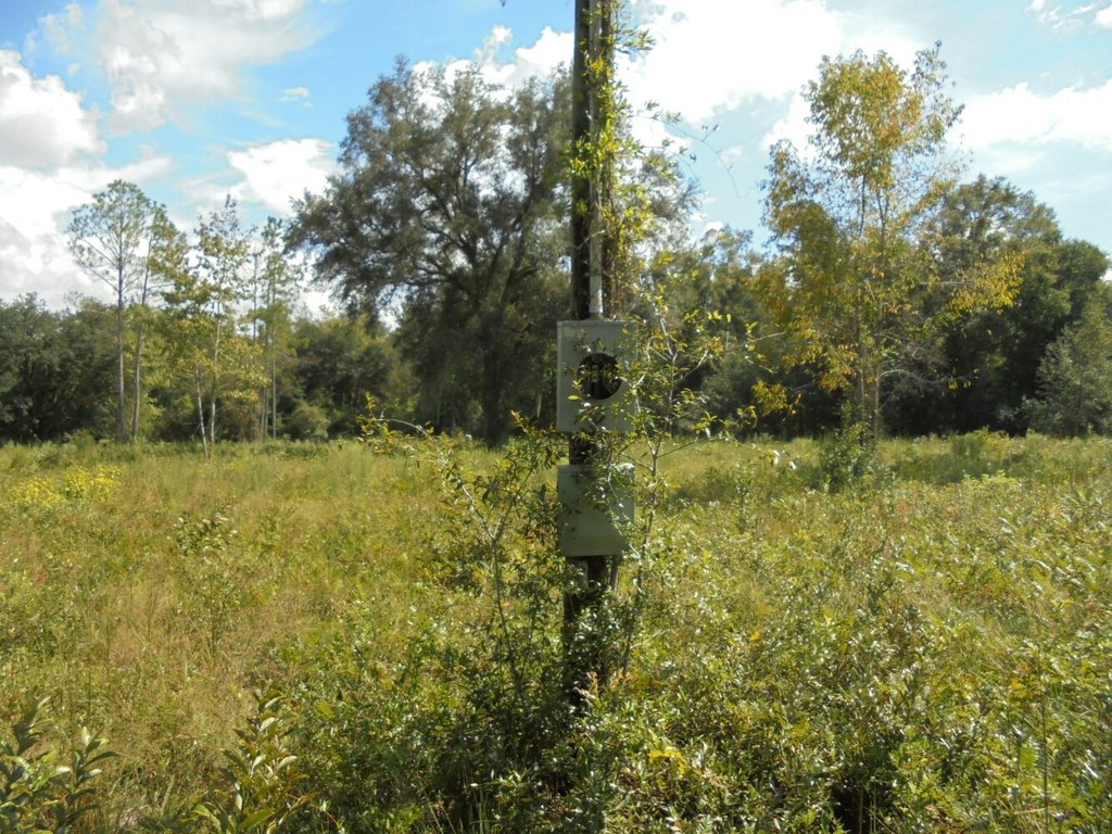 Picture 12