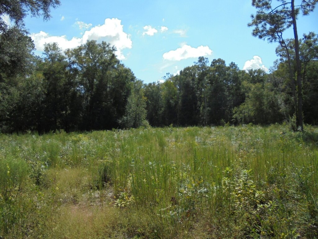 Picture 3