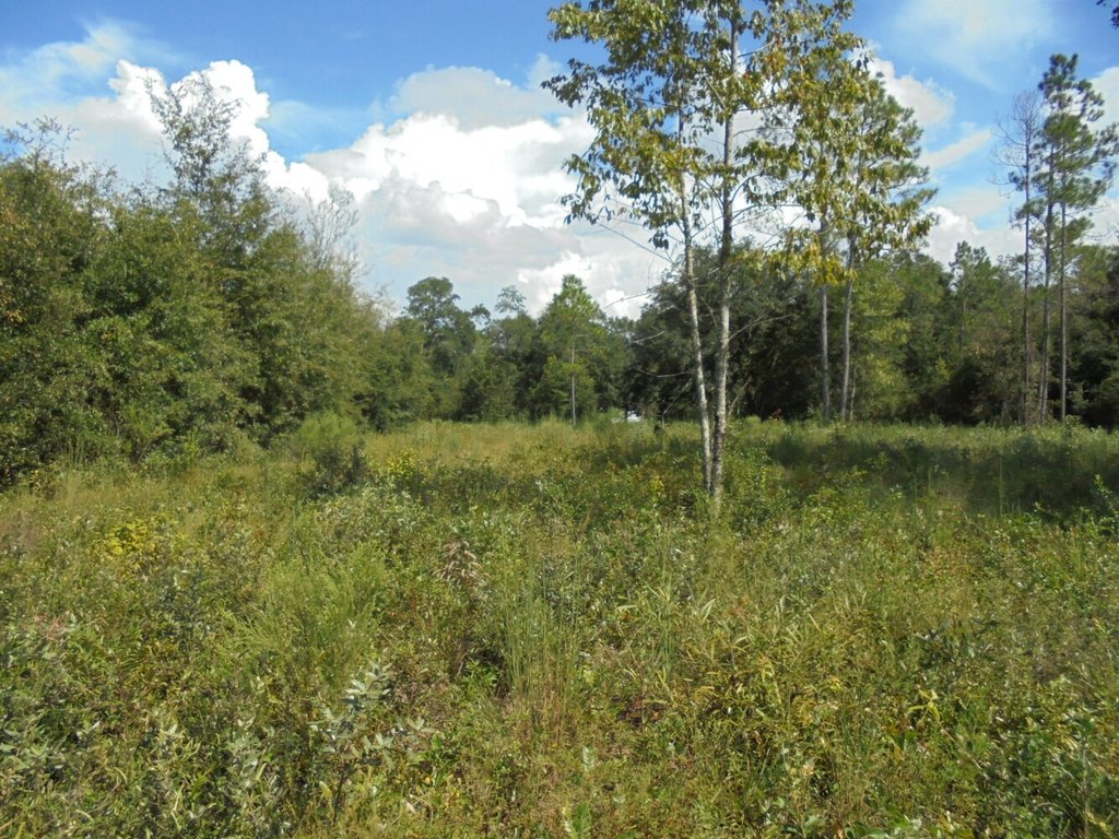 Picture 8