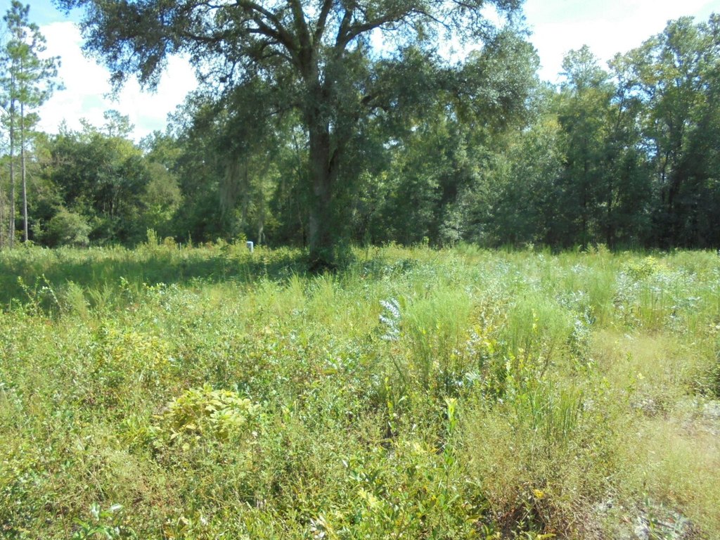 Picture 13