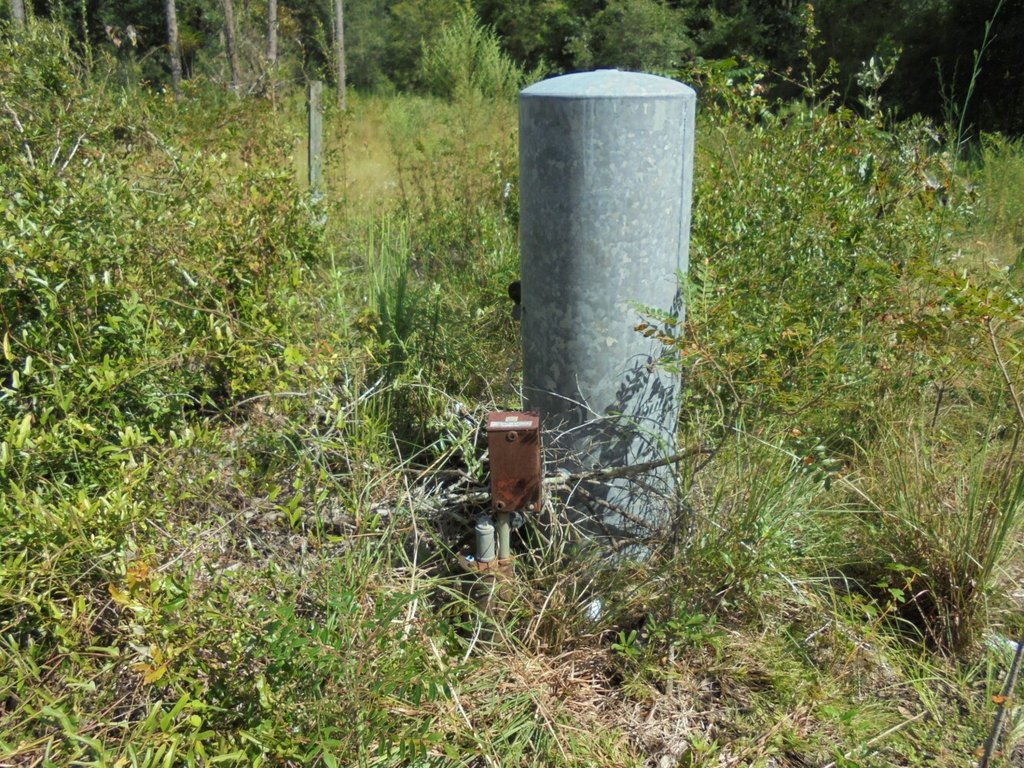 Picture 9
