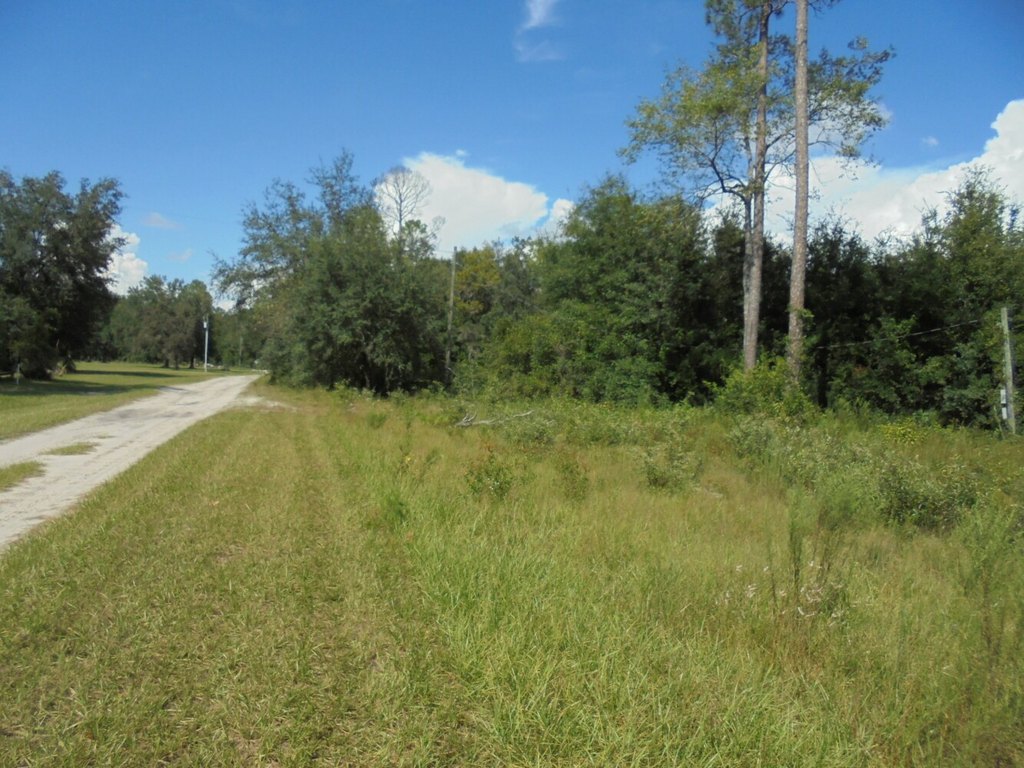 Picture 5