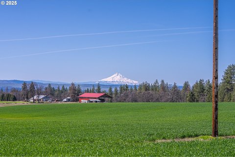 Goldendale Land with Mountain View
