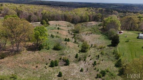 Altavista Land with Development Potential