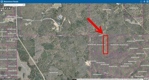 Northern Michigan Wilderness Acreage