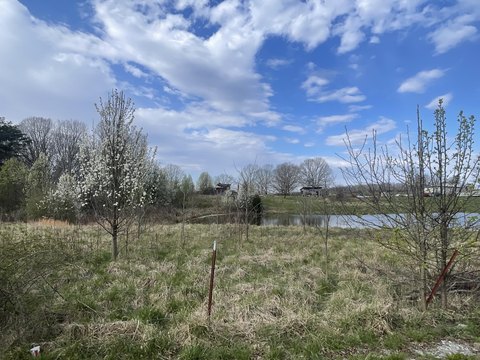 Unrestricted Land with Pond Access